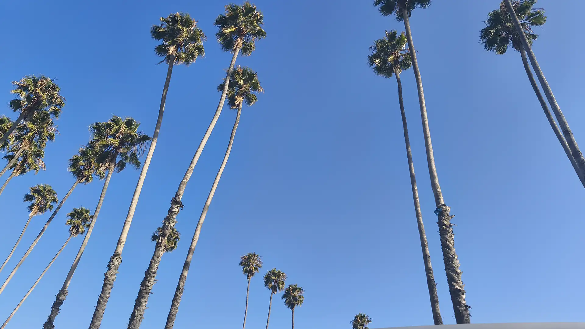 Santa Barbara viaggi studio USA