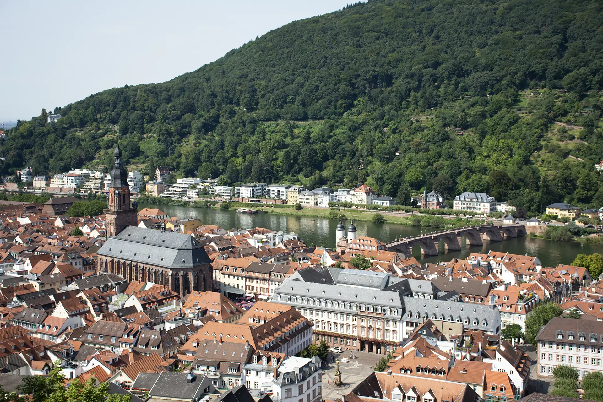 Heidelberg viaggi studio Germania